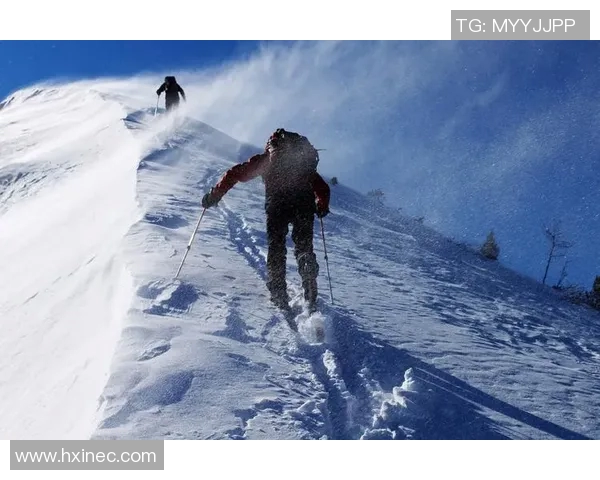 攀岩传奇王伟的心路历程与不懈追求之旅